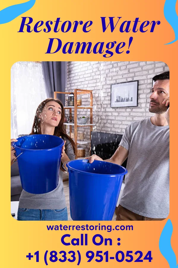 water restoration Damage Recovery Specialists Maumee