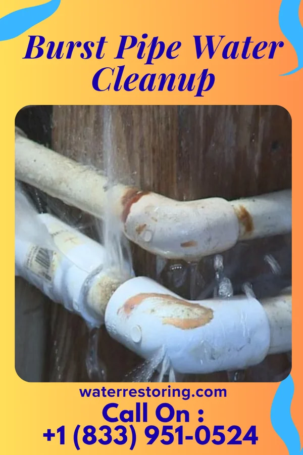 Burst Pipe Water Cleanup in Maumee, OH