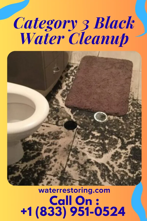 Category 3 Black Water Cleanup in Maumee, OH