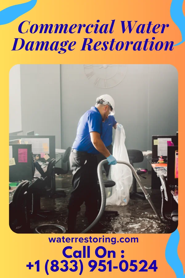 Commercial Water Damage Restoration in Maumee, OH