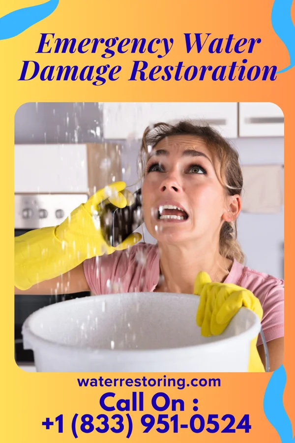 Emergency Water Damage Restoration in Maumee, OH
