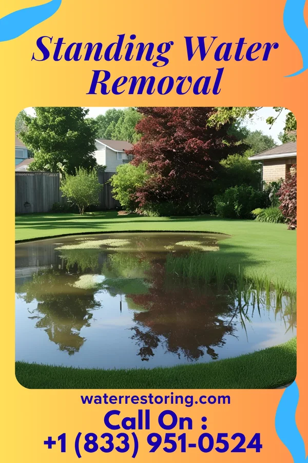 Standing Water Removal in Maumee, OH